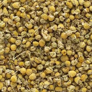 Egyptian Chamomile Herb