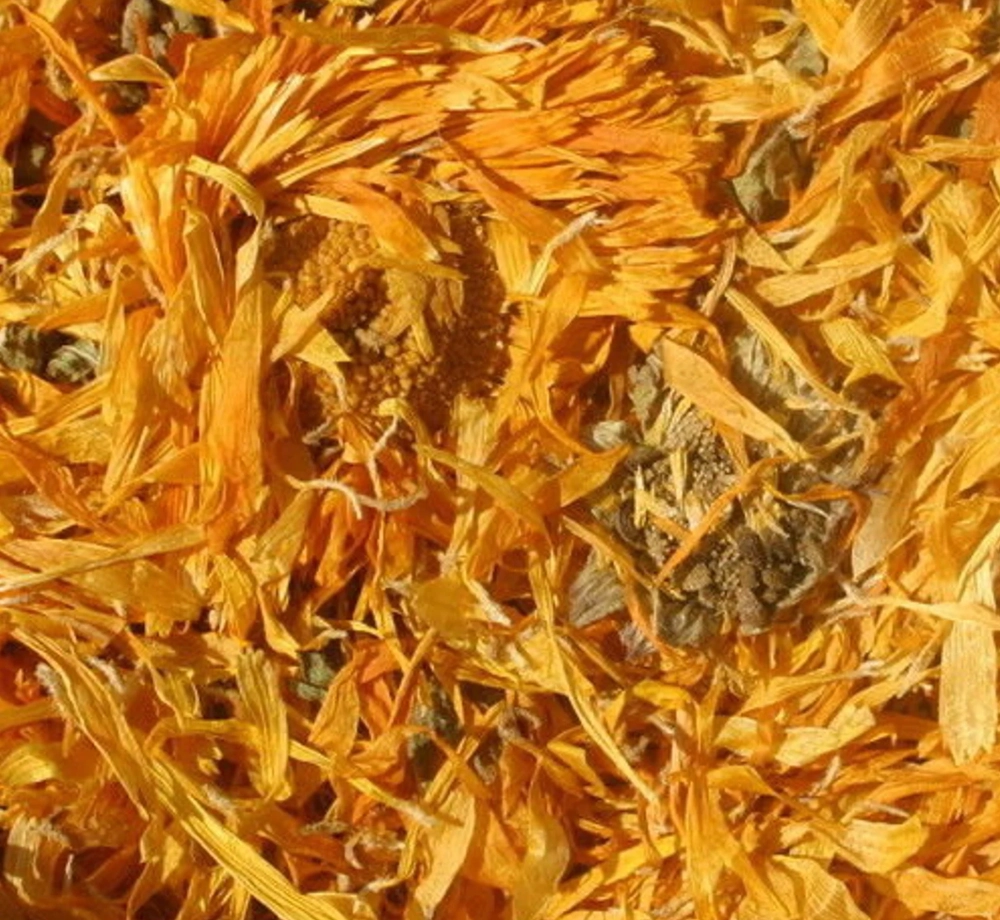Marigold (Calendula)