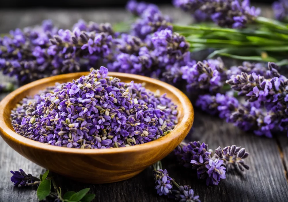 What are the benefits of Lavender Herbs?
