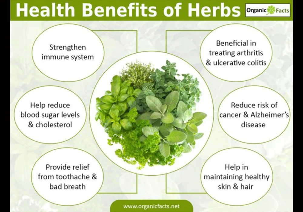 How can I find reliable information about herbs?