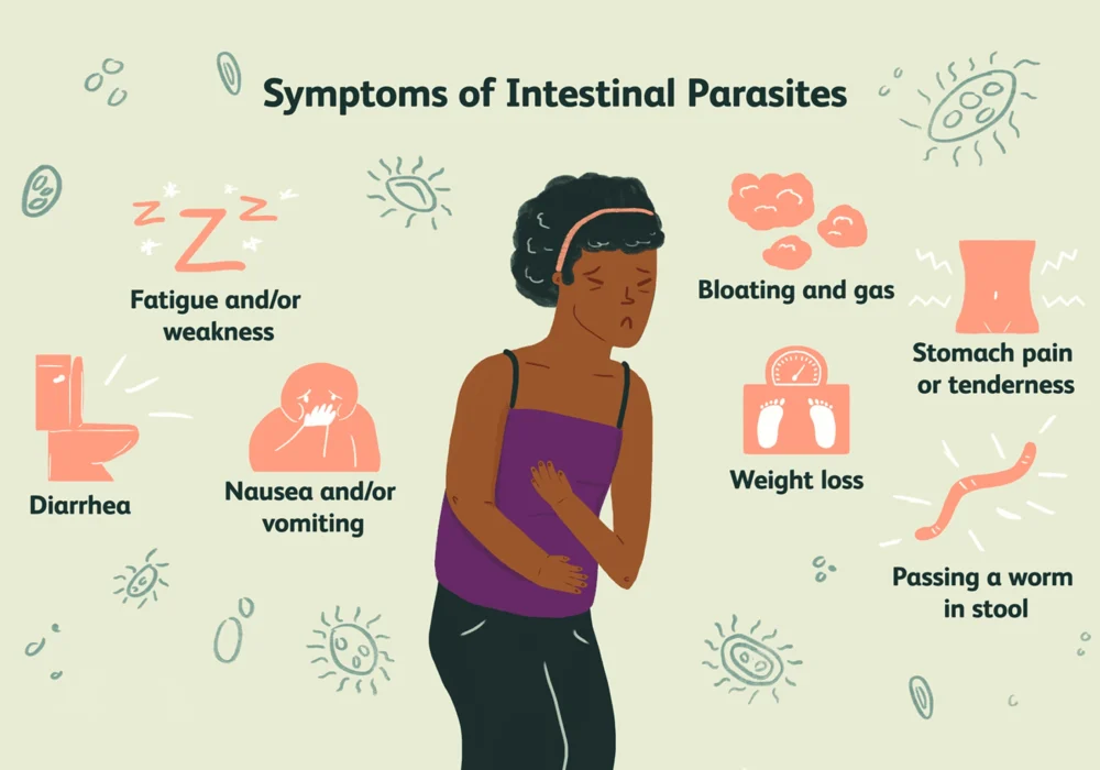 How to Detox Parasites in the Body