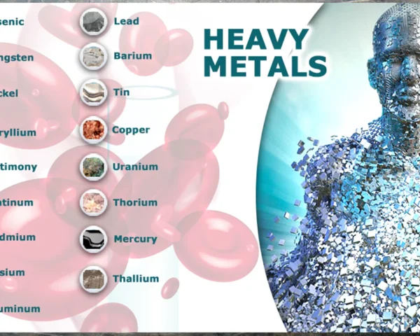 What are Heavy Metals in the Body?