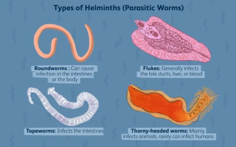 What are Parasites in the Body?